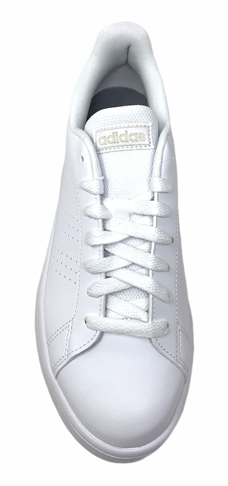 Scarpa da ginnastica ADIDAS ADVANTAGE EE7692 Uomo