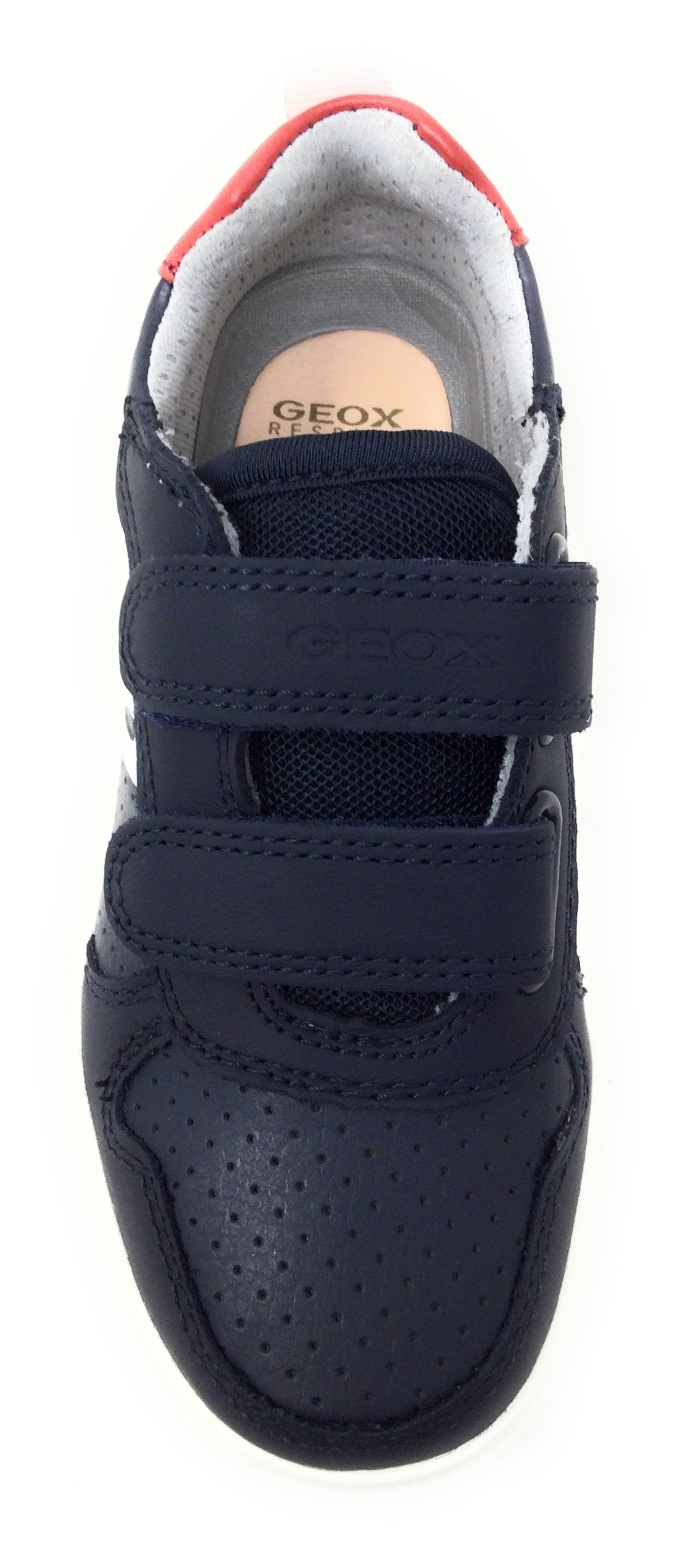 Scarpa da ginnastica GEOX NETTUNO J15AWC C0735 bambino