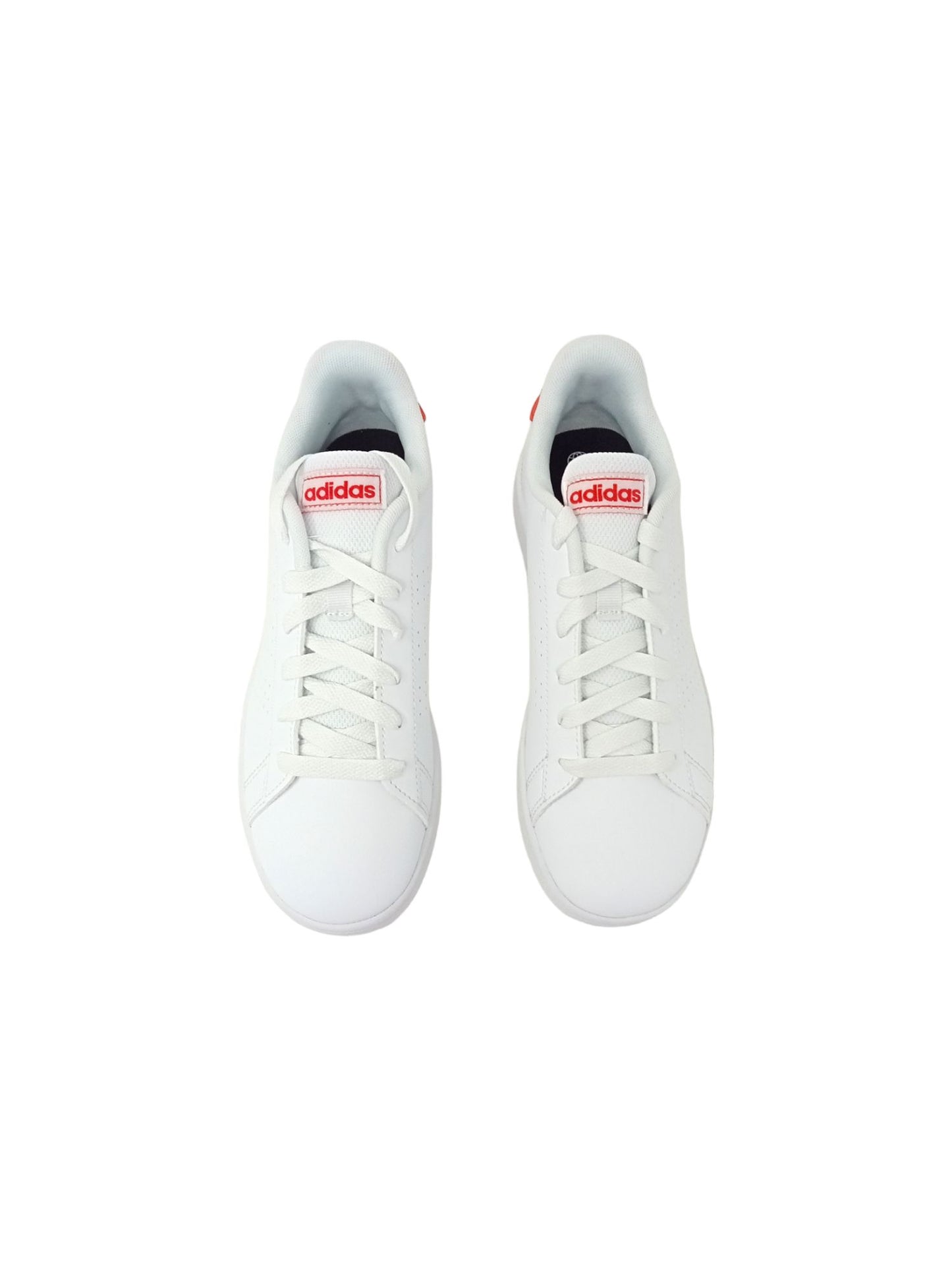 Sneaker ADIDAS ADVANTAGE K GY6996 ragazza
