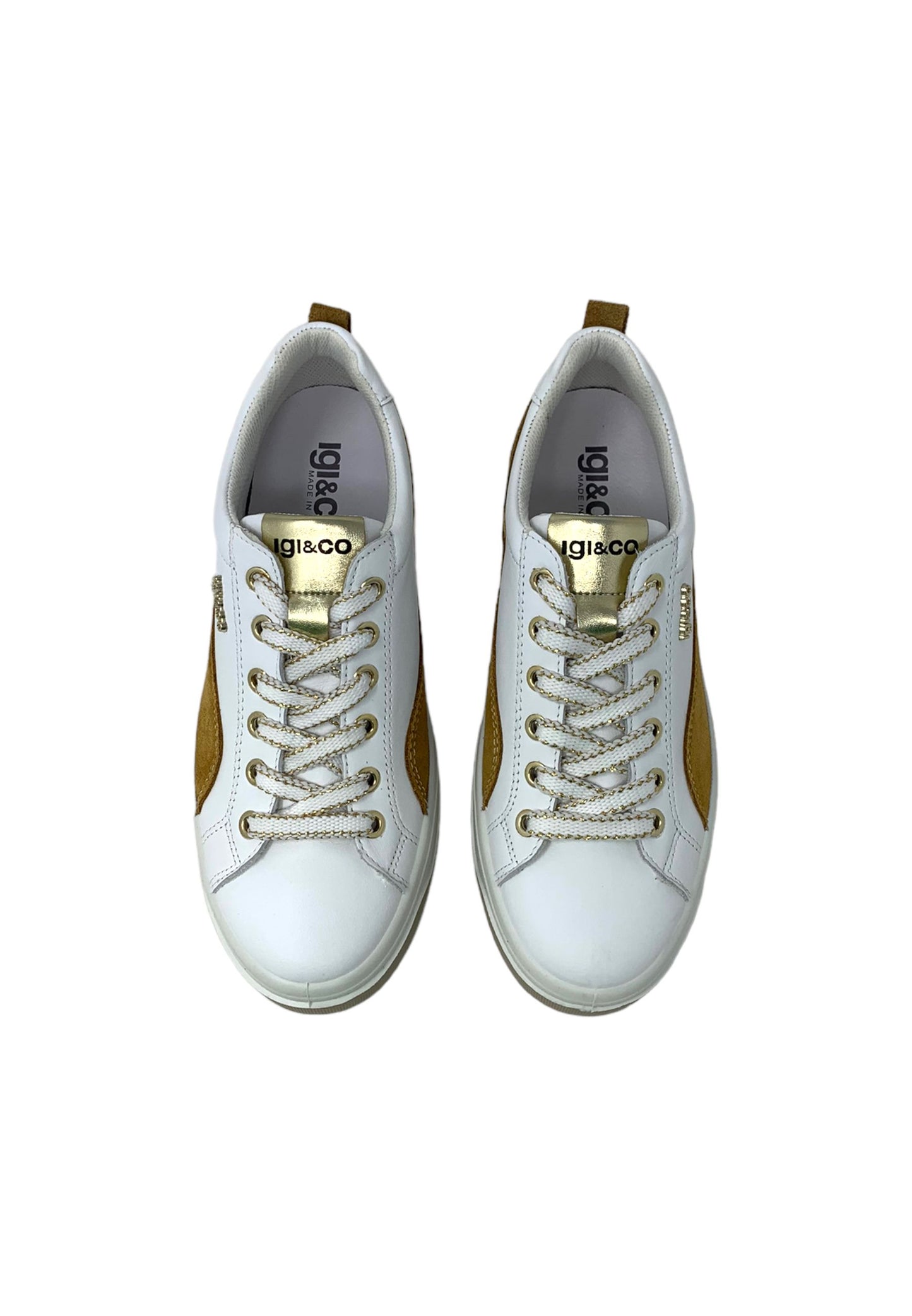 Sneakers Igi&co 56584 Donna (2 colori)