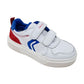 Scarpa da ginnastica GEOX NETTUNO J15AWC C0556 bambino