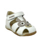 scarpe da passeggio PRIMIGI 1910522 bambino