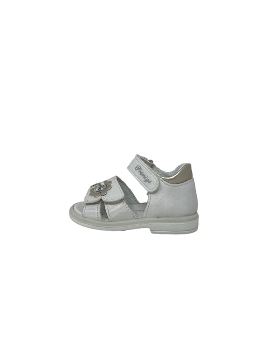 Sandalo PRIMIGI 3859000 bambina