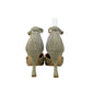 Decolleté  KISS KRISS 1912 GAGLIP platino donna