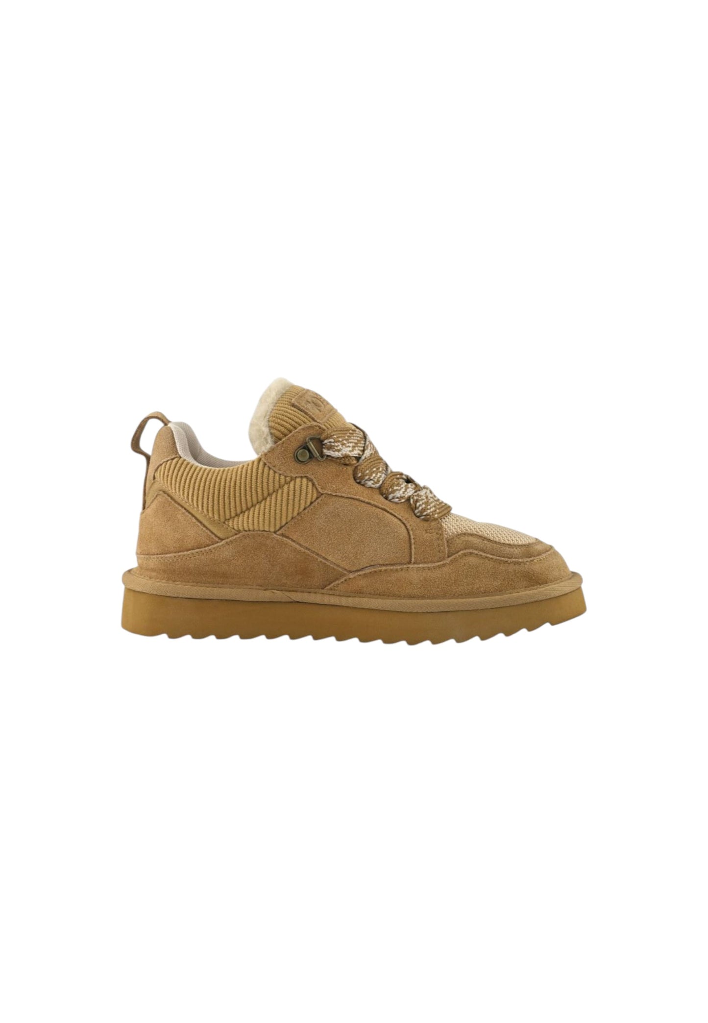 Sneakers COLORS OF CALIFORNIA HC.YW261 TAN Donna