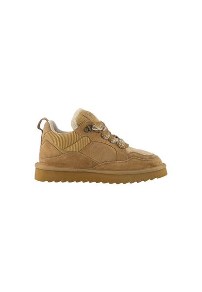 Sneakers COLORS OF CALIFORNIA HC.YW261 TAN Donna